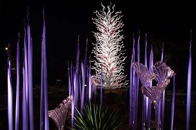 Desert Botanical Garden