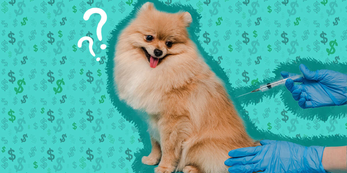 How Much Do Dog Vaccinations Cost DodoWell The Dodo   Crop;