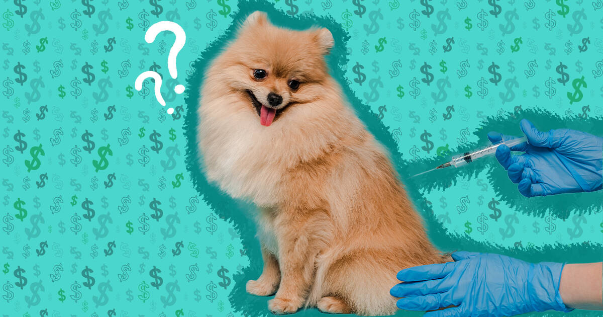 how much is a dog vaccination