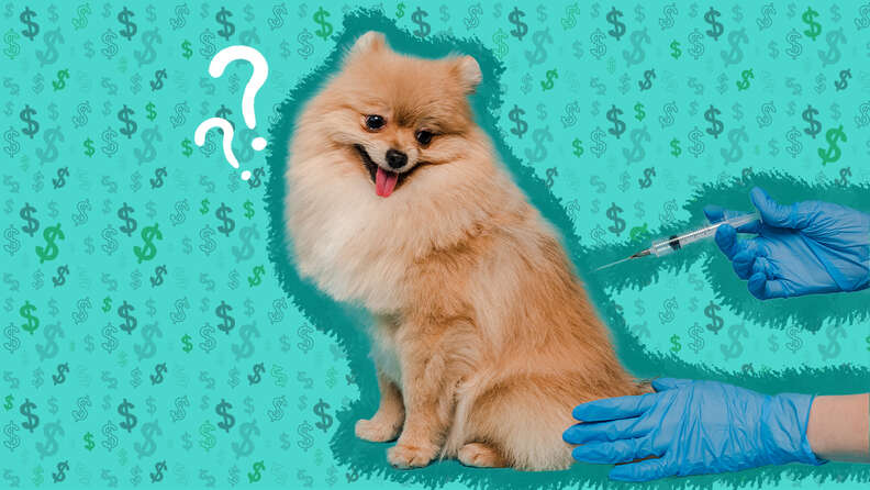 how much is a dog vaccination cost