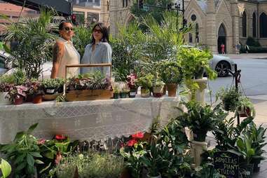 Semillas Plant Studio