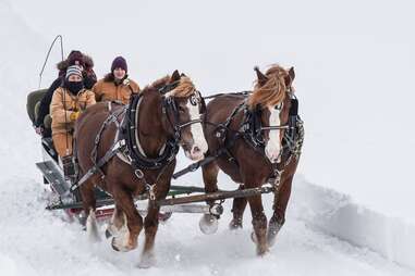 people on a horse-drawn sleigh ride