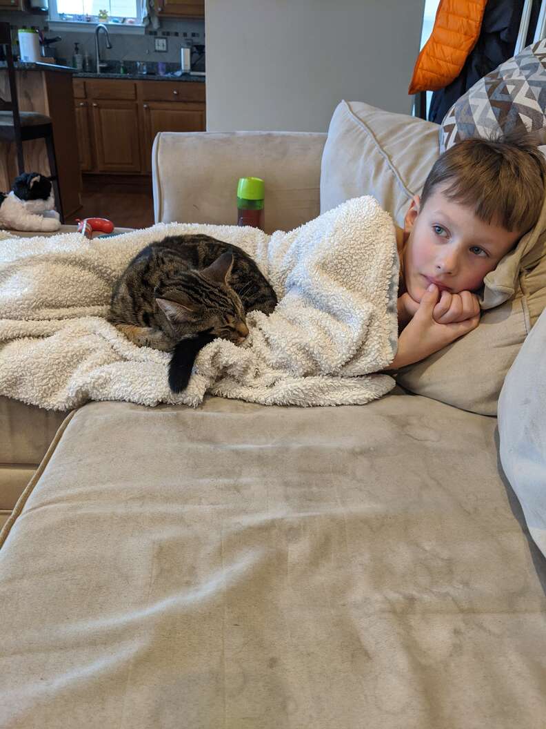 cat cuddles with boy
