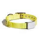 GPS dog collar