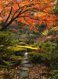 autumn in japan