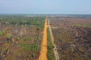 deforestation before and after