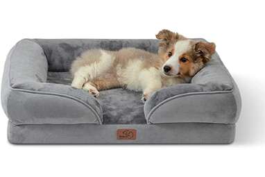 20 Dog Bed Black Friday Cyber Monday Deals You Won t Want To Miss