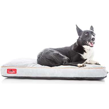 Large dog bed black friday cheap sale