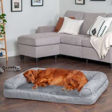 The Best Dog Bed Black Friday Deals - DodoWell - The Dodo