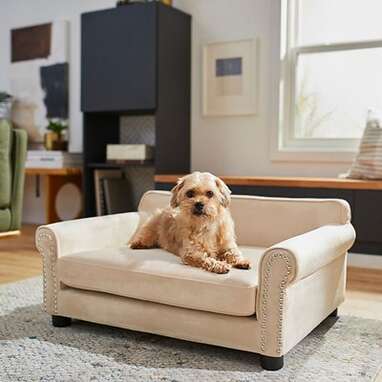 FRISCO Sofa Bed with Removable Cover, Medium, Beige + Eyelash Cat & Dog Blanket, Sand