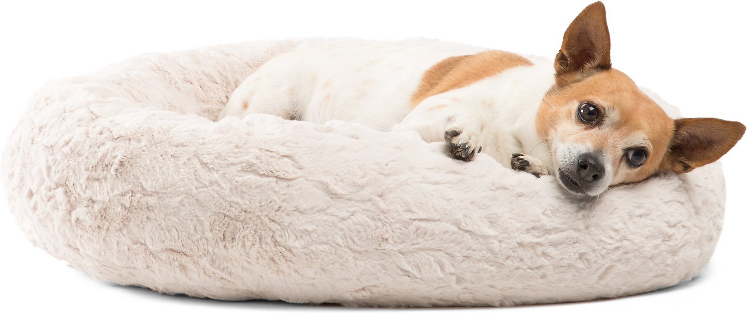 Black friday deals 2025 on dog beds