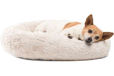Dog beds black friday 2018 best sale