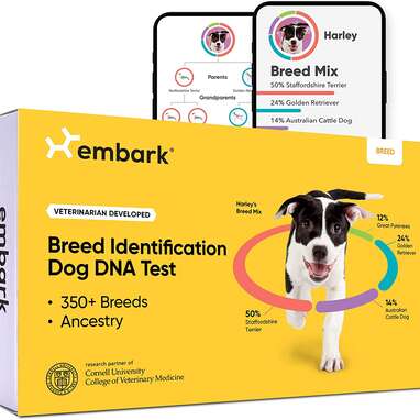 Embark Dog DNA Test, Breed Identification Kit