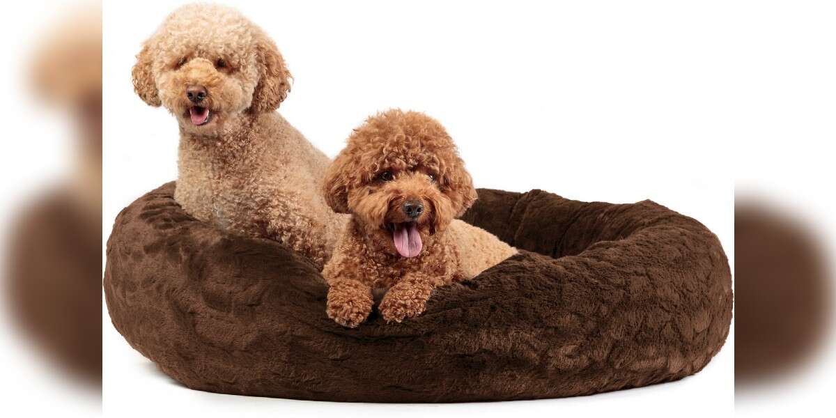 The Best Dog Bed Black Friday Deals DodoWell The Dodo