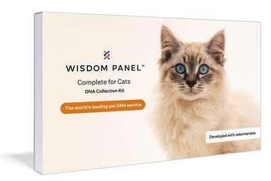 WISDOM PANEL Complete Cat DNA Test