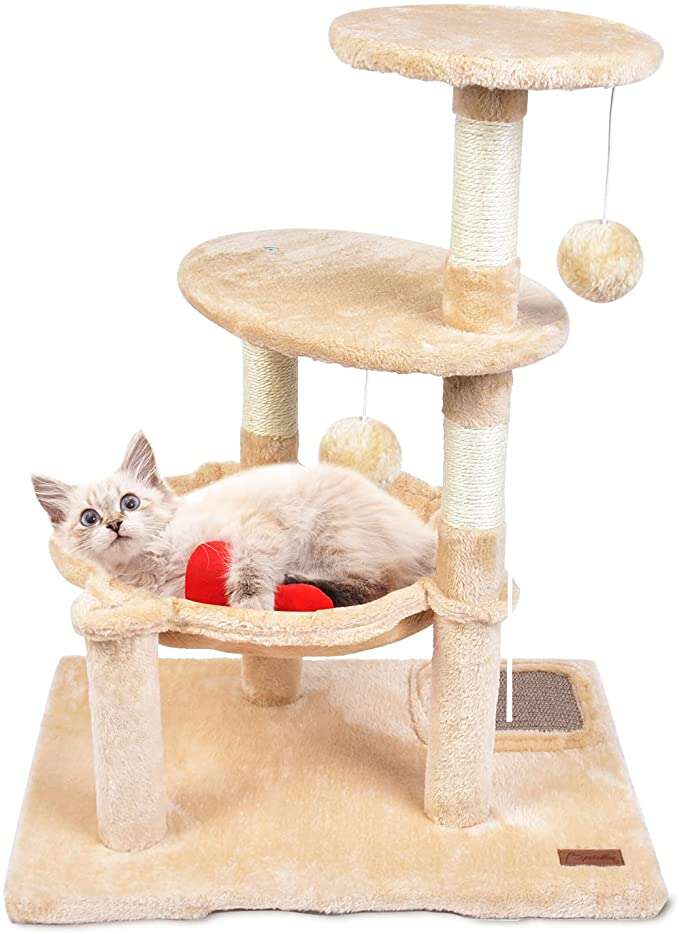 royal canin advanced mobility support