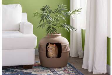 Elijah Covered Hidden Cat Litter Box with Decorative Planter
