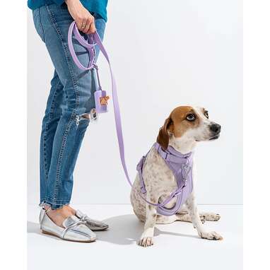 Wild One Harness Walk Kit