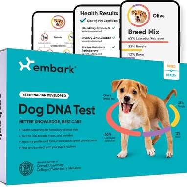 Embark dna black on sale friday