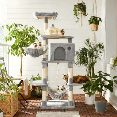 64" Byerly Cat Tree or Condo