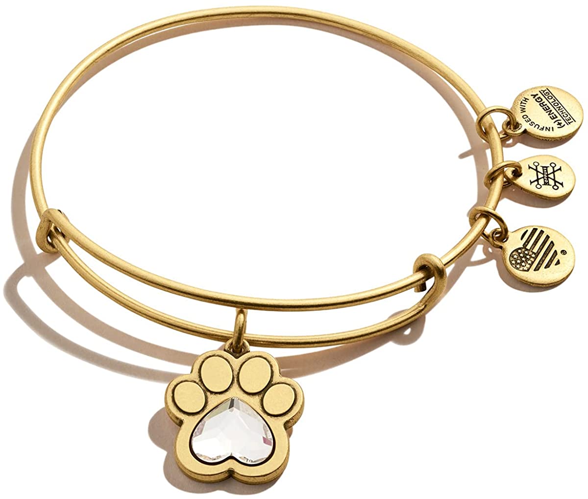 Dog shop lover bracelet