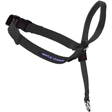 Best head collar sale