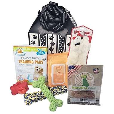 Paws Place Puppy Gift Basket