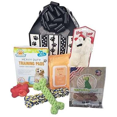 10 Perfect Gifts From Amazon For New Puppy Parents DodoWell