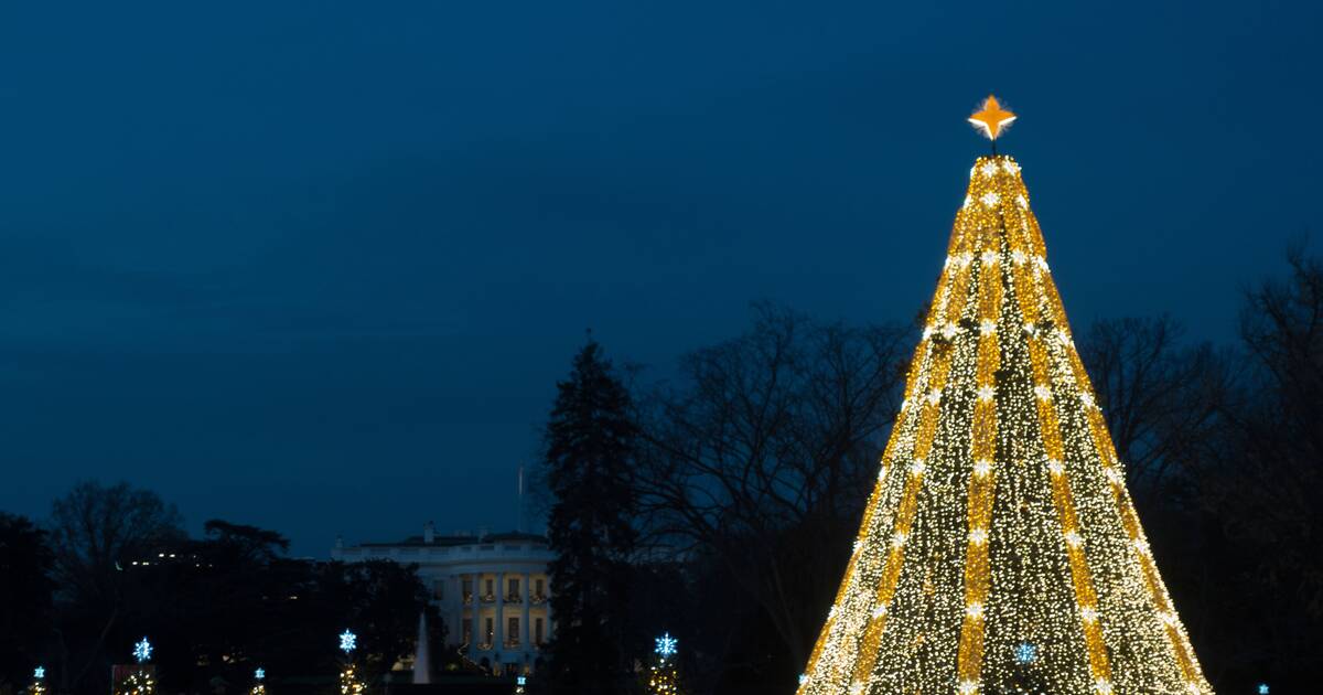 Herndon Va Christmas Tree Lighting 2022 What To Know About The National Christmas Tree Lighting 2021 - Thrillist