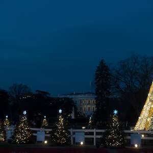 Dc Nightlife Christmas Day 2021 Zcnya4nwkotmm Dc Nightlife Christmas Day 2021 Zcnya4nwkotmm