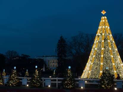 Lighting Of National Christmas Tree 2022 What To Know About The National Christmas Tree Lighting 2021 - Thrillist