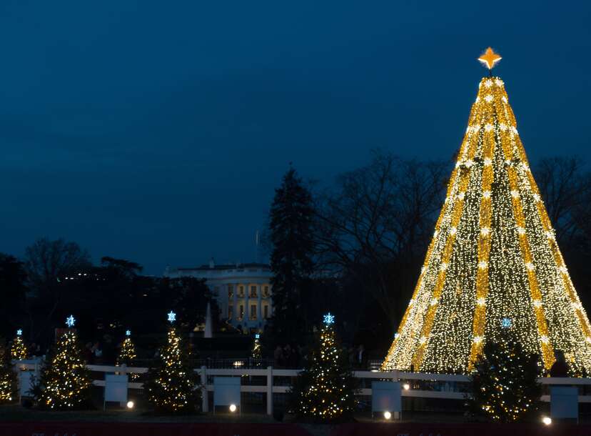 national christmas tree lighting 2021 washington dc