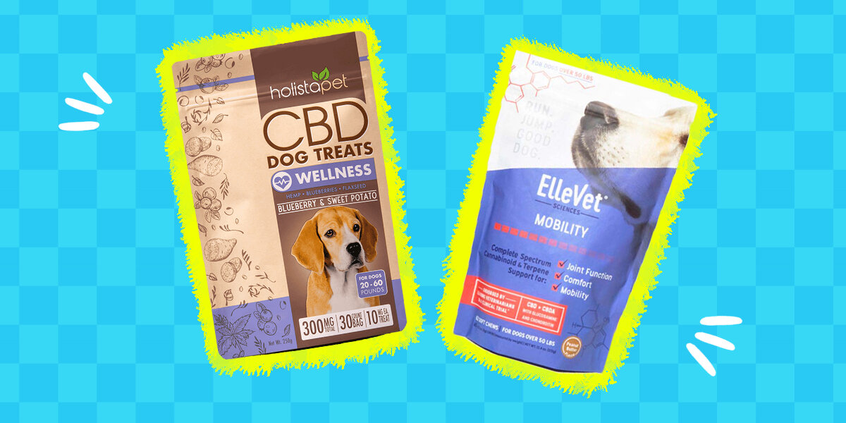 Best hemp clearance dog treats