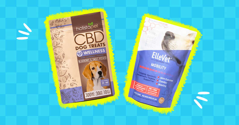 5 Best CBD Dog Treats To Reduce Anxiety Or Relieve Joint Pain