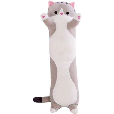 Cute cat clearance teddy