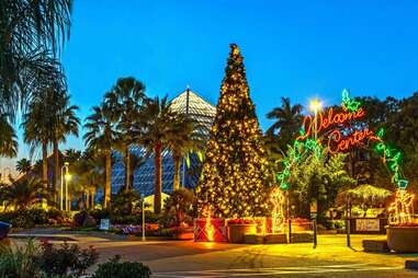 Holiday in the Gardens dallas