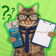 cat holding a calculator, money, and chart