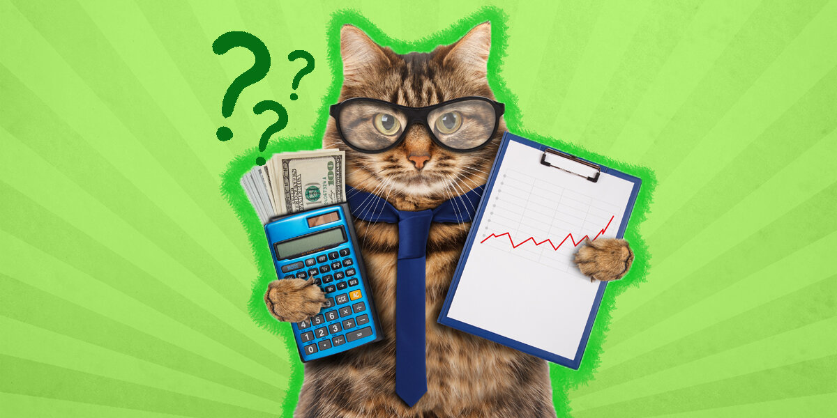 How Much Does It Cost to Have a Cat?