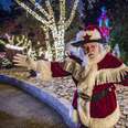 Visit San Antonio christmas texas