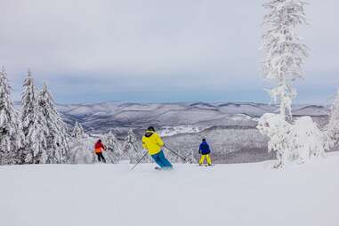 people skiing down a mountain