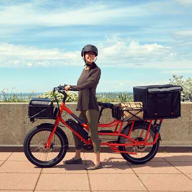 RadWagon 4 Electric Cargo Bike