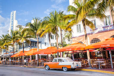 a beachfront city lined by palm trees