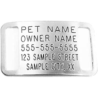 Safe hot sale dog tags