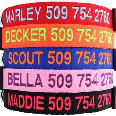 Dog collar with hot sale name and number