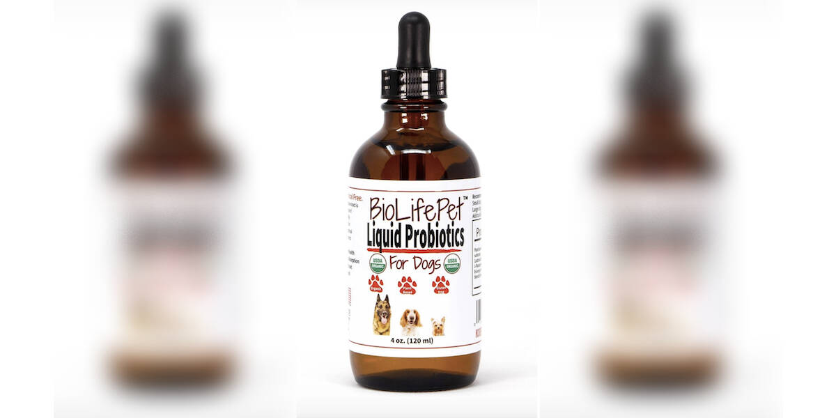 Liquid probiotics shop for dogs