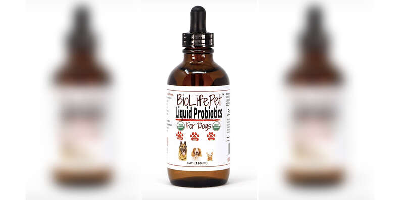 Liquid probiotics for dogs best sale