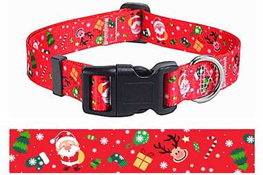 Mihqy Dog Collar