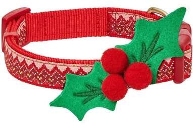 Dog christmas collars clearance with lights