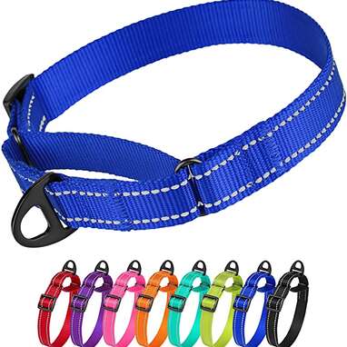 CollarDirect Reflective Martingale Collar