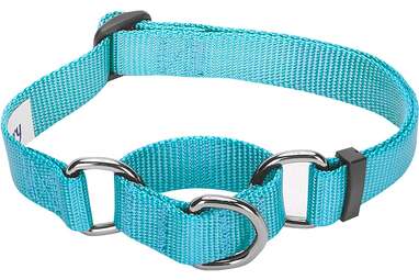 Blueberry Pet Essentials Safety Training Martingale